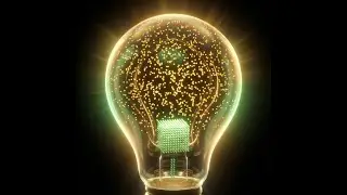 What if you could simulate a Brain?