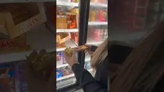 Achamos sorvetes de Twix e Snickers na Dollar Tree por $1,25!🇺🇸 #orlando