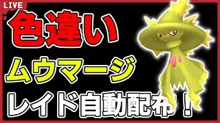 【バイオレット限定】色違いムウマージレイド自動配布！【ポケモンSV】#8