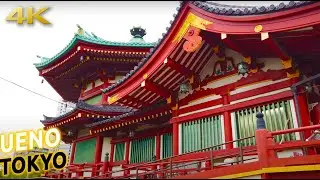 UENO and GOJOTEN SHRINE in 🗼TOKYO🗼 [4K ASMR]