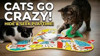 Potaroma Interactive Cat Feather Toy Review 🐾 The Ultimate Hide & Seek Playtime!