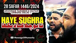 Purdard Noha | Haye Sughra Na Poch Kya Dekha |Teep|Anjuman Tanzeem e Matam Amroha |MessageOfHumanity