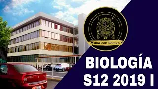 BIOLOG&Iacute;A SEMANA 12 PRE SAN MARCOS 2019 I 📚🖥️