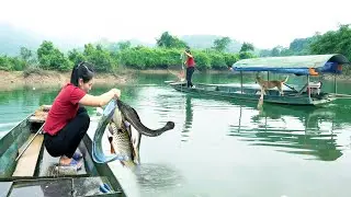 Primitive Technology - Using traditional fishing line to catch catfish effectively 100%
