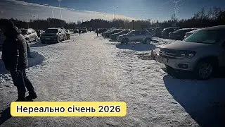 Неймовірні ціни‼️Січень 2026р.‼️Як не купити авто у родича ✅Допомога у підборі авто!(097) 94 76 806 