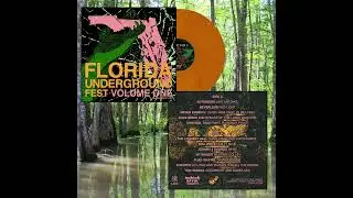 Florida Underground Fest 5 Vol. 1 Side A #dcxpclive #punk #skamusic #livealbum #punkvinyl