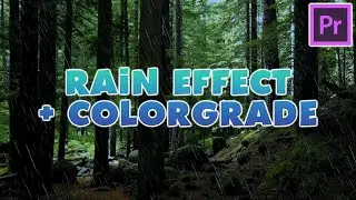 Free Rain Overlays + How to Use It (Premiere Pro Tutorial)