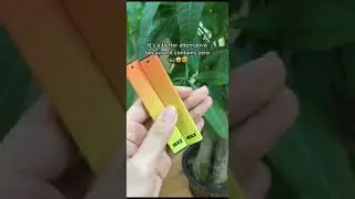Throw harmful vapes away Try the Jeez Bar! It boosts brain productivity without harmful ingredients!