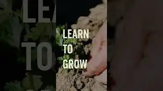 The Teaching Farm 2024 Launch Campaign Social Media Videos Brynna Shouse