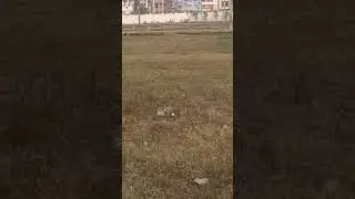 186sq yards plot east & west facing Nadakuduru kakinadaprice 13000/-contact 9642227555