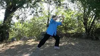 Association Atout Sens-Natasha Riboud 2e partie Taiji quan style Yang de Yang Jwing Ming