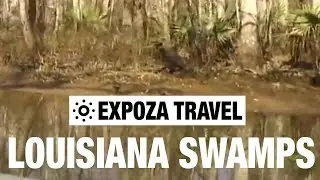 Louisiana Swamps (USA) Vacation Travel Video Guide