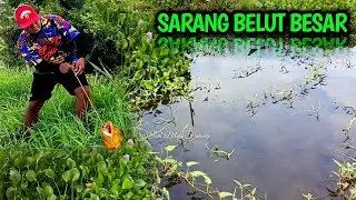 BERBURU BELUT BESAR DI RAWA YANG TERKENAL ANGKER. LIHAT HASILNYA 😱