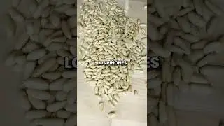 &iquest;Sabes d&oacute;nde se producen m&aacute;s pi&ntilde;ones en Espa&ntilde;a?
