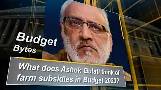 What does Ashok Gulati think of farm subsidies in Budget 2023? Union Budget | Business Standard