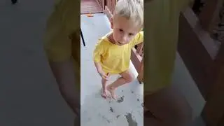 It's Shit! #viralshorts #fyp #funnykid #fypシ #toddlers #shorts