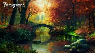 Whispers of Autumn A Stream's Tranquil Tale