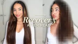 GETTING MY CURLS BACK - How to avoid damage after using extreme heat!! 🔥 *must see*