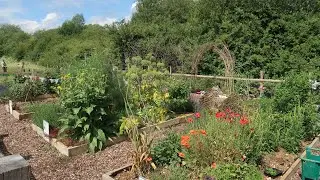 Volunteers in the Settler Gardens and Orchard, August 2020