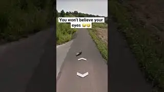 Super Rabbit! 🐰😱 #googleearth #googlemaps #googlemysteries #shorts