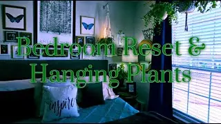 This 10 Minute Video Took 5 Hours: My Ultimate Bedroom & Plant Care Routine! 🌿🧹