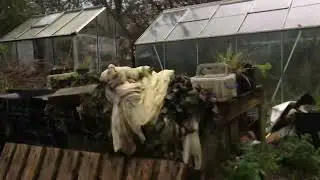 Update storm Bert in Devon