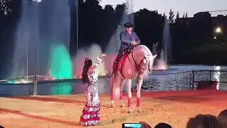 Caballo bailando sevillanas