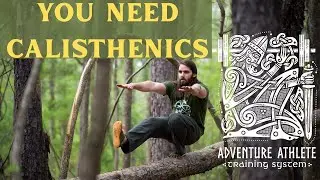 6 Reasons Why I LOVE Calisthenics!