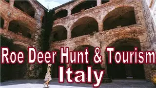 Roe Deer Hunting and Touring Florence & Rome - The Full Italian Classic Safari with Italian Safari