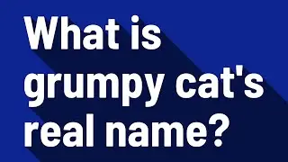 What is grumpy cat's real name?