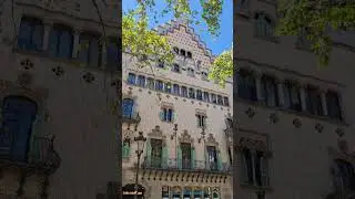 Сграфитто в Барселоне #shorts #barcelonaguide #sgrafitto #gidbarcelona