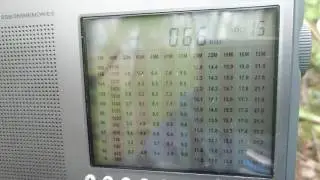 66,(6) KHz RBU in daylight hours