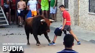 ENCIERRO POR LAS CALLES CON 2 TOROS // BUDIA 2025