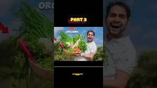 We 😀 Grow Organic Fruits And Vegetables - 100% Healthy Part 2 #shorts