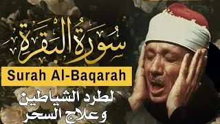 سورة البقرة | لطرد الشياطين وجلب الرزق | الشيخ عبدالباسط عبدالصمد Surah Al Baqarah القرآن مباشر