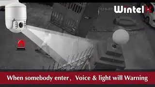 WintelX F1 voice light warning alarm Auto tracking wifi IP mini Ptz camera