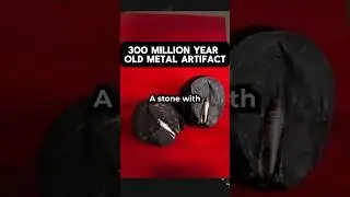 Lanzhou Stone &ndash; A 300-Million-Year-Old Mystery?! 🤯 #Shorts