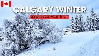 Calgary Winter Walk ❄️ Snowy Trees & Freezing Cold | Canada 4K UHD 🇨🇦