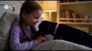 Henry the Dog Trailer Sora AI