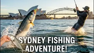 Sydney Fishing stanwell Park beach ￼