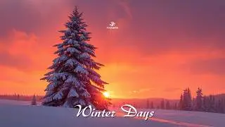 Taoufik - Winter days (Official Music)