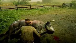 Hunting all types of 3 star animals #16 - Hereford Bull