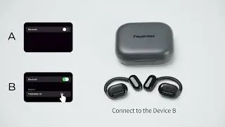 TRUEFREE O1 | Multipoint Connection