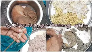 How to clean Boti in Tamil | How to clean Goat Intestine |How to clean kudal