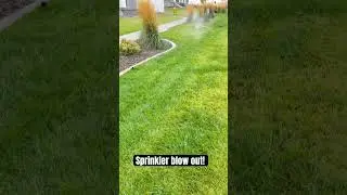 Sprinkler blowout season! Landscaping! #landscaping #lawncare #shorts