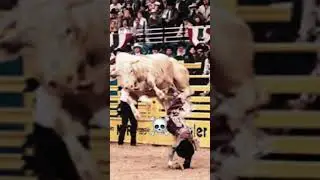 Bull Riding Edit ☠️☠️ | #pbr #shorts