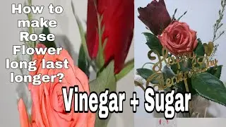 Easy Way How to make Rose Flowers last longer| Fresh Flower+Vinegar+sugar