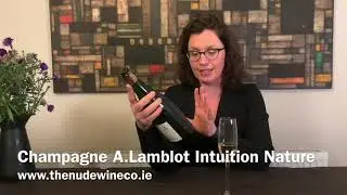 Champagne A Lamblot Intuition Nature