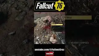 FASTEST Mole Rat in Fallout History!  #fallout76 #funny #shorts
