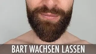 Road to Dichteren Bart 11# Bisschen Talk zu AOT! Overglaze oder Perfect Rated ?